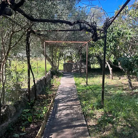 Villa Estel - La Goleta De Mar & Pollenca